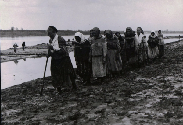 Как изменилась Волга за последние 100 лет